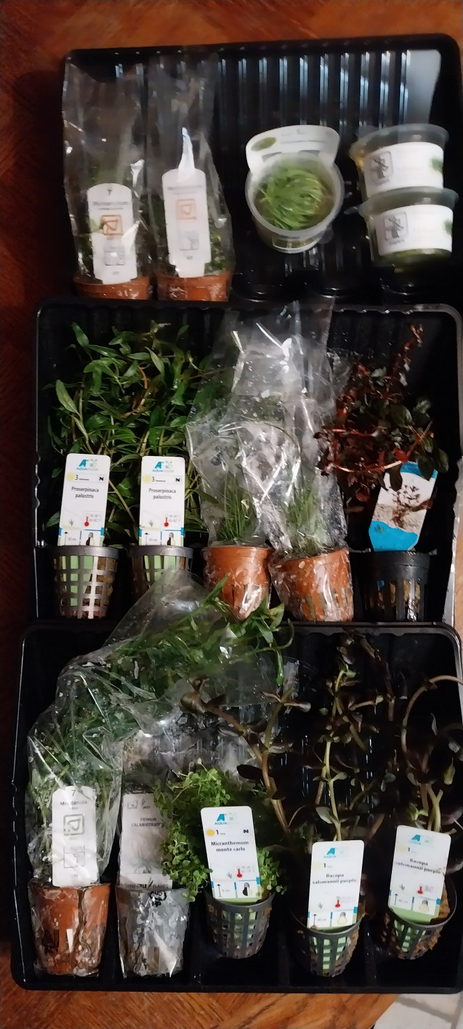 Photographie du post de STK54 