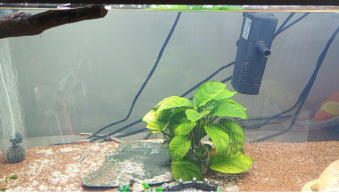 Photographie du post de Christelle14 