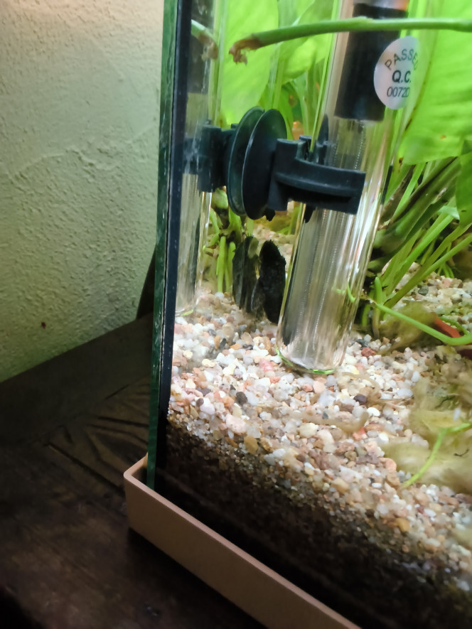 Photographie du post de Francecsu2b 