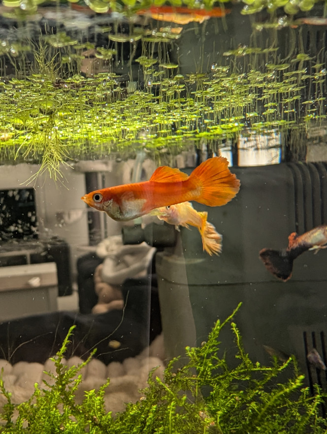 Photographie du post de Valvoz 