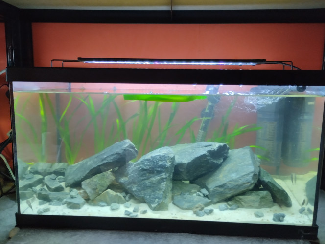 Gastromyson Changement des pierres pour du micaschiste bleu/noir a voir avec le temps car friable.