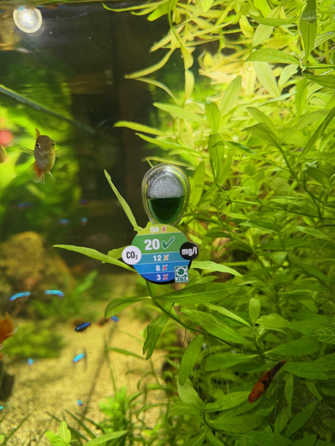 Photographie du post de Anto09820 