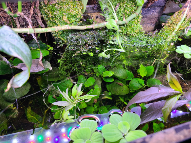 Photographie du post de laurent-galichet 