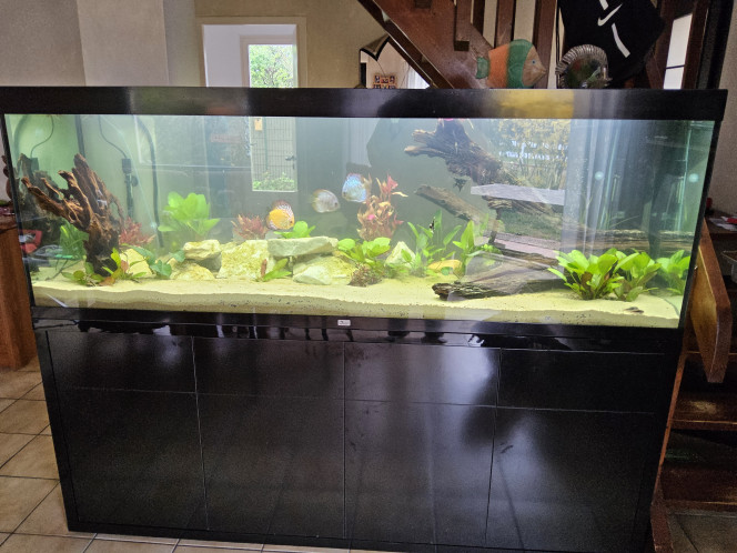 Photographie du post de Papou1511 