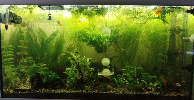  Mise à jour de la photo du 134L ??