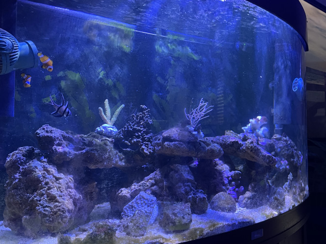 Photographie du post de CoBi 