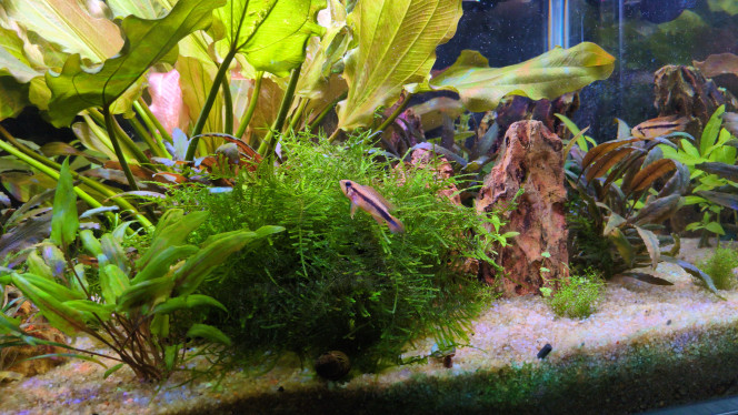 Photographie du post de Stephane06580 