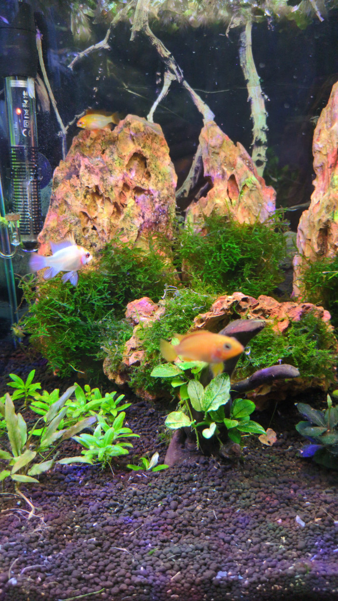 Photographie du post de Stephane06580 