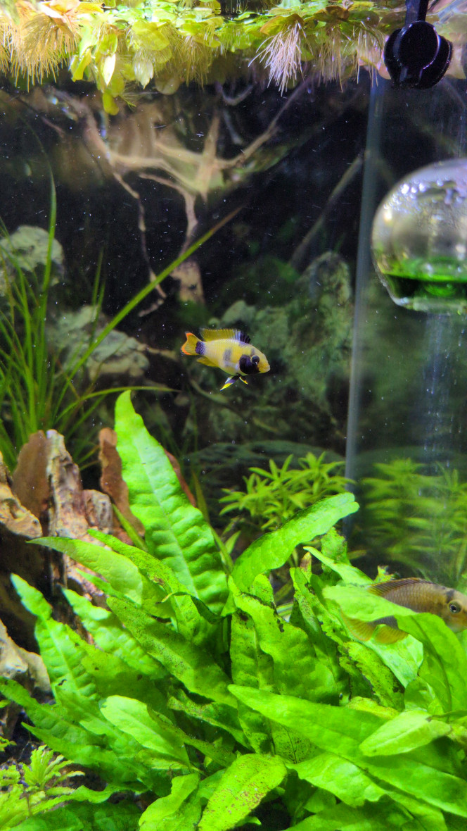 Photographie du post de Stephane06580 