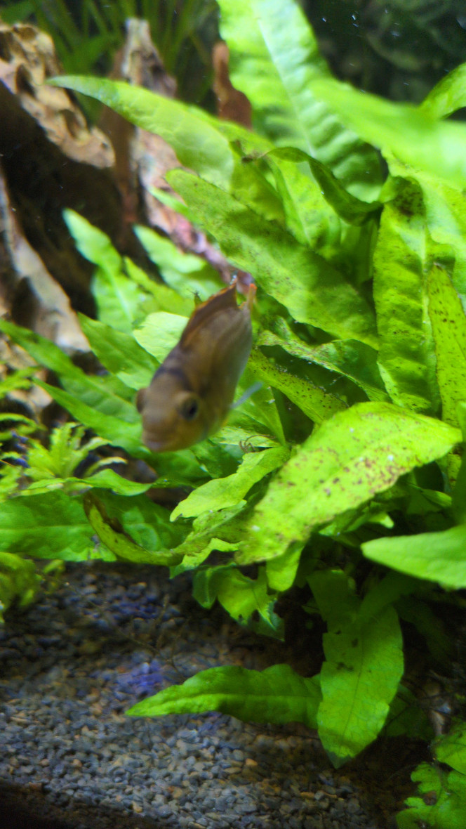 Photographie du post de Stephane06580 