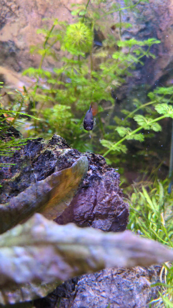 Photographie du post de Stephane06580 