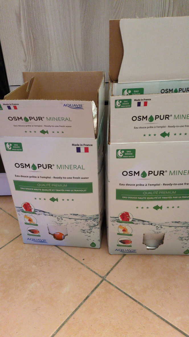 Photographie du post de Stephane06580 