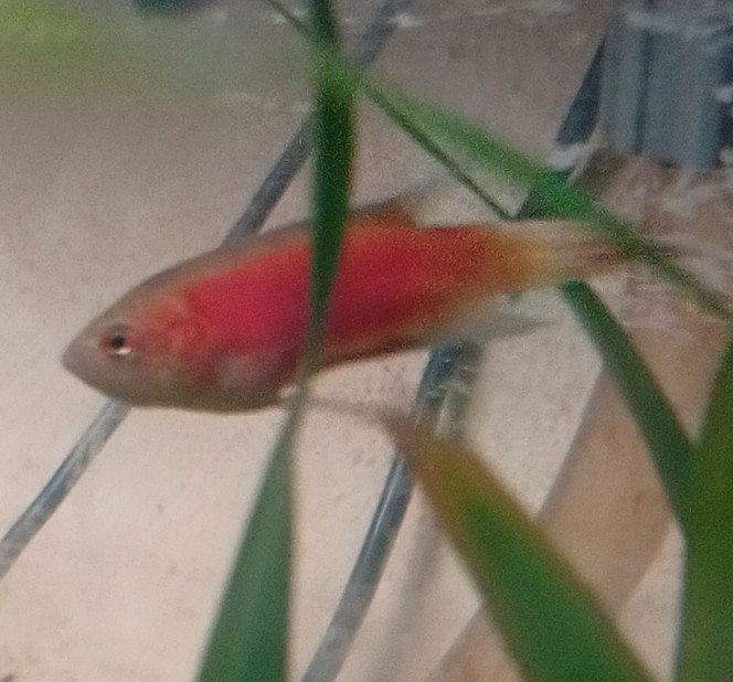 Photographie du post de Ayolit 