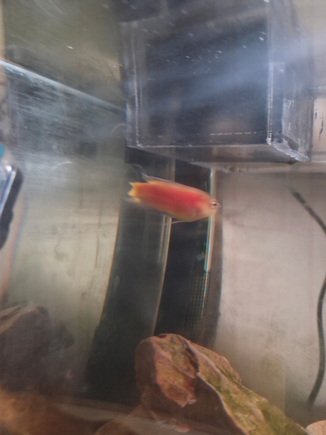 Photographie du post de Ayolit 