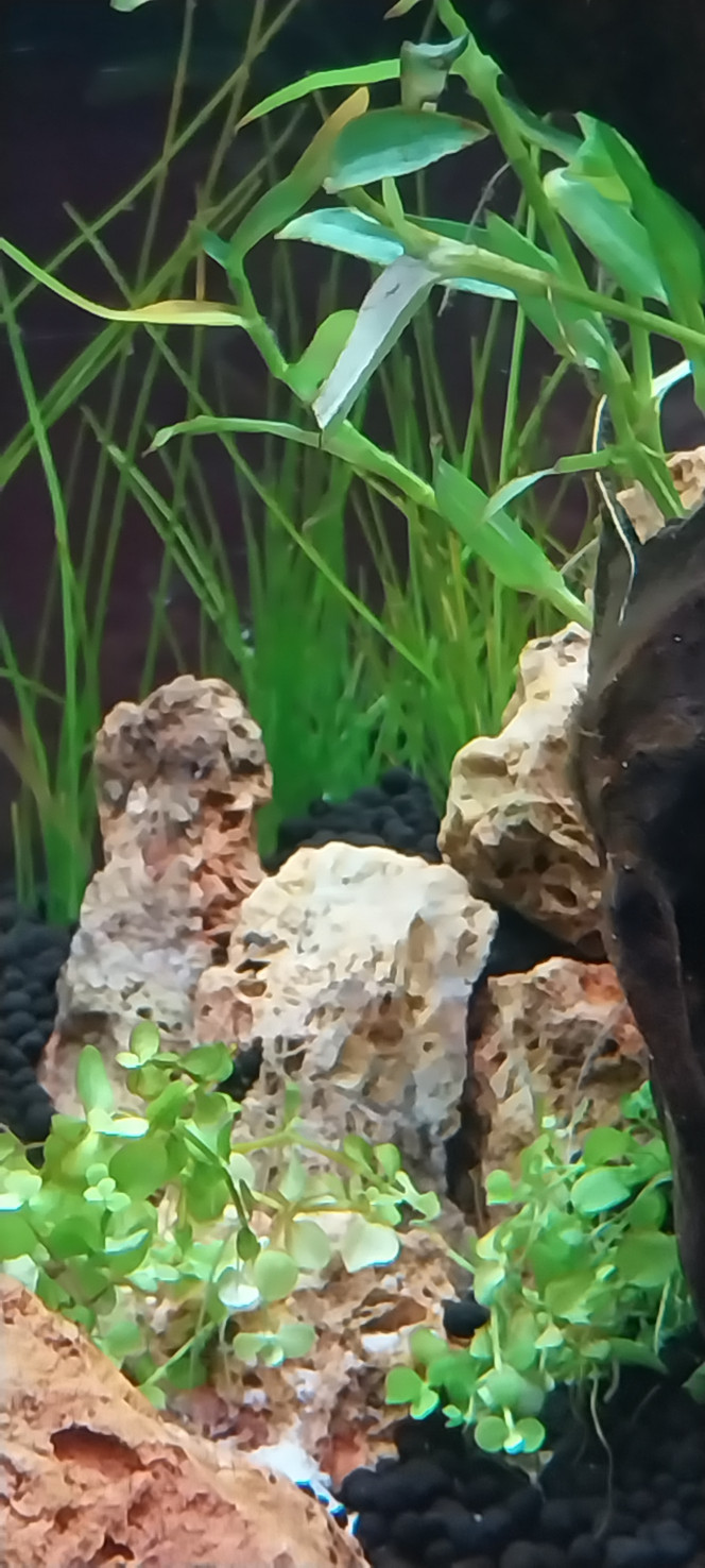 Photographie du post de STK54 