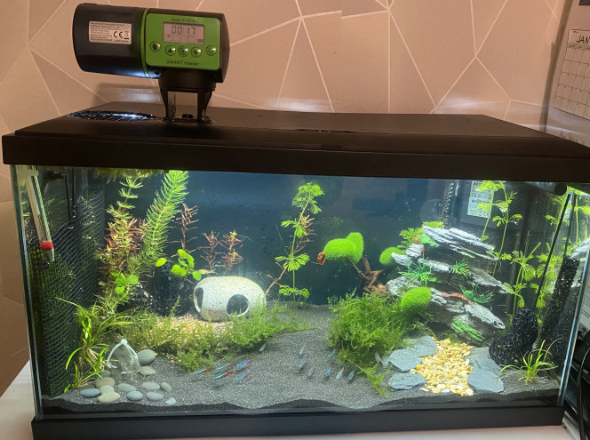 Photographie du post de Tisme 