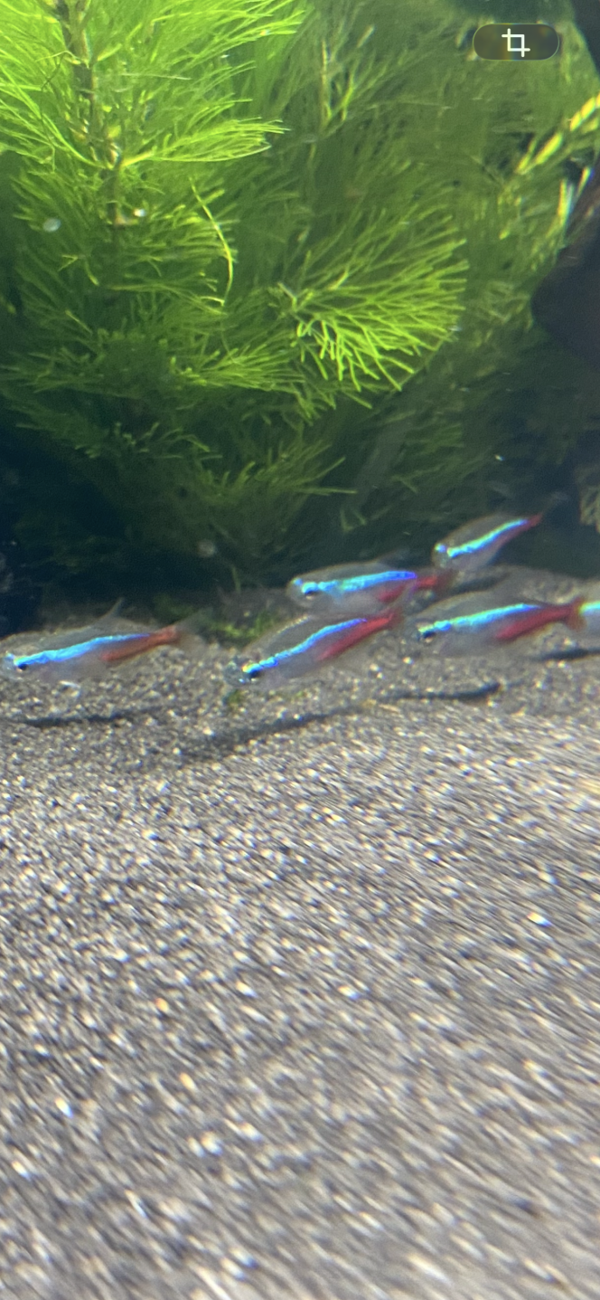 Photographie du post de Tisme 