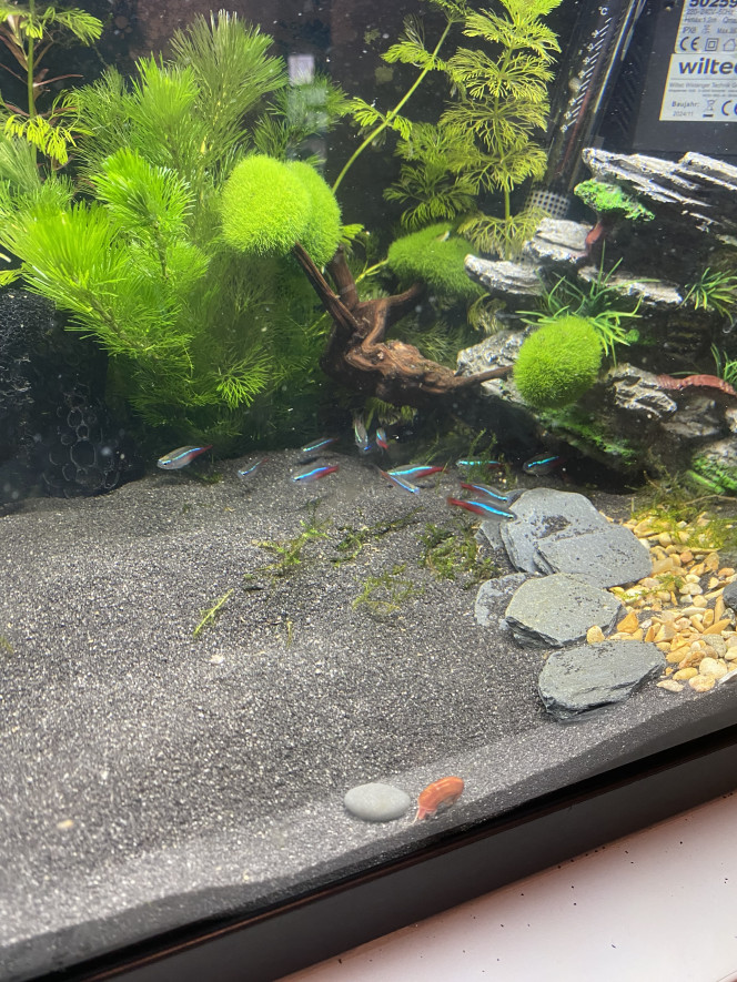 Photographie du post de Tisme 