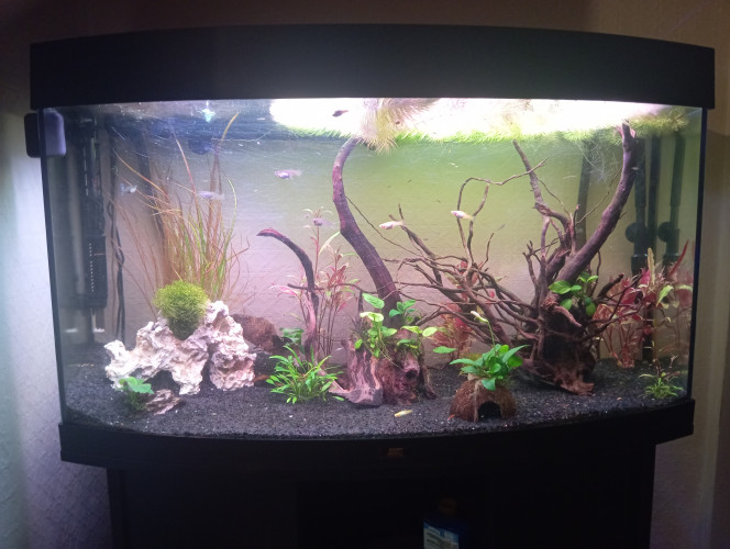 Photographie du post de Fafa1921 