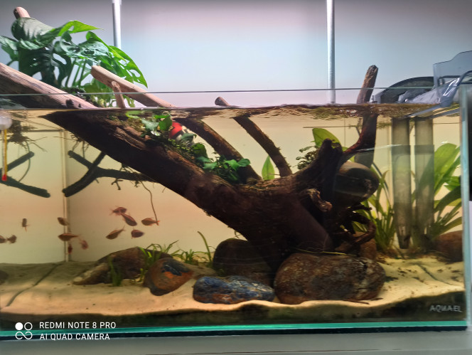 Photographie du post de Yoannikko 