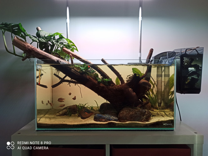 Photographie du post de Yoannikko 