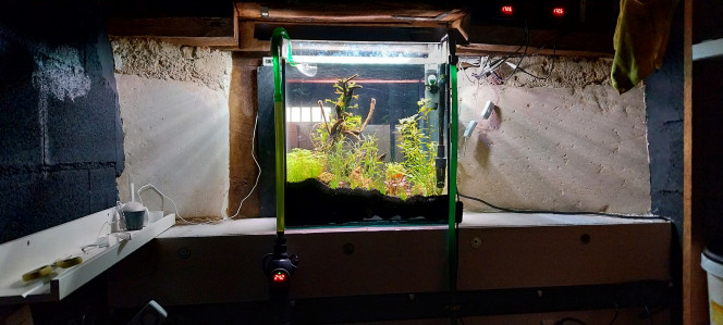 Photographie du post de STK54 