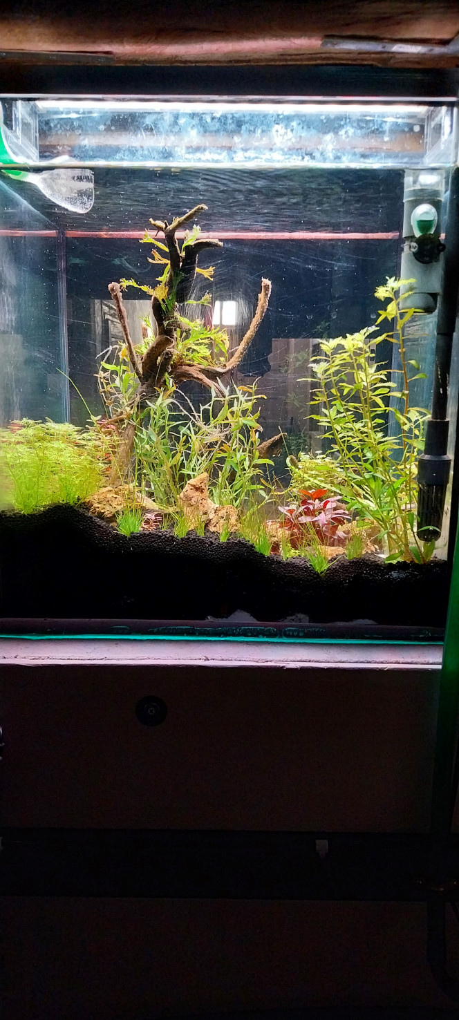 Photographie du post de STK54 