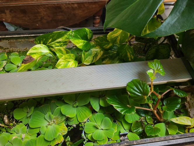 Photographie du post de laurent-galichet 