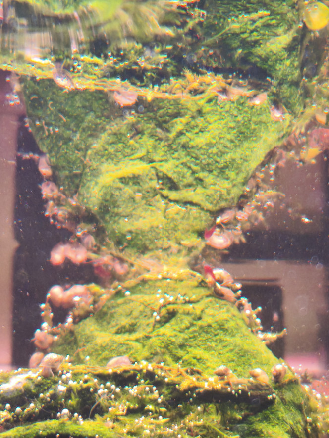 Photographie du post de Loran 