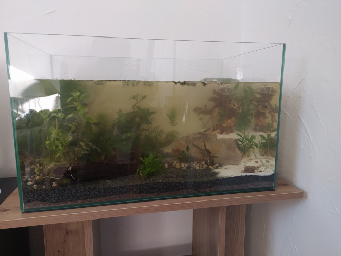 Mise en eau Trouble car juste après la mise en eau