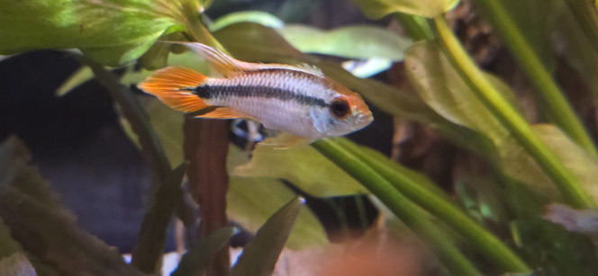 Photographie du post de Stephane06580 