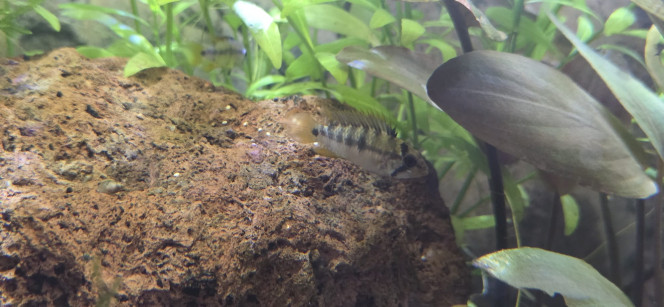 Photographie du post de Stephane06580 