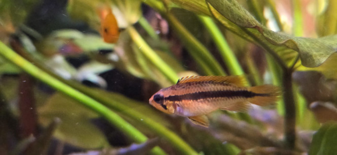 Photographie du post de Stephane06580 