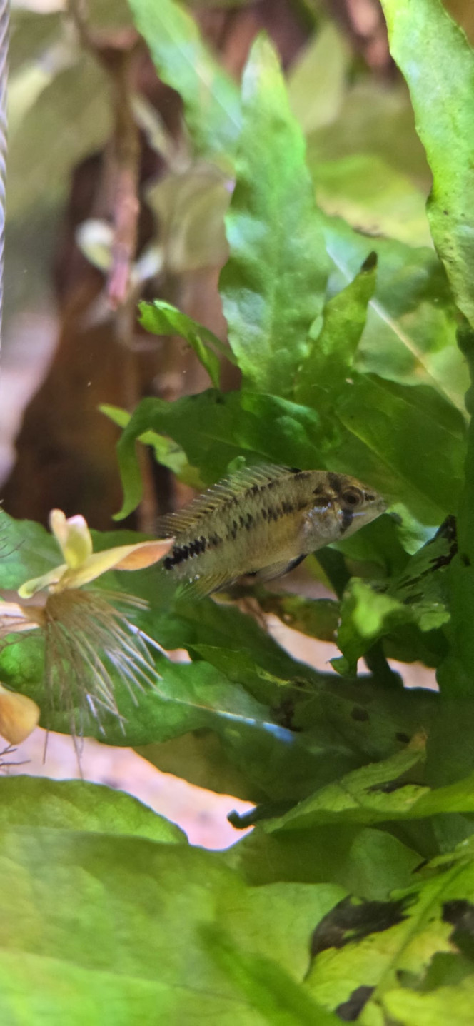 Photographie du post de Stephane06580 