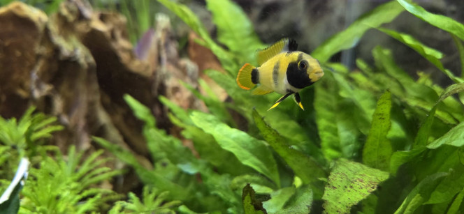 Photographie du post de Stephane06580 