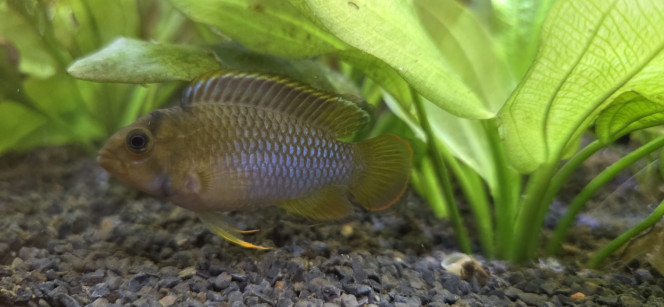 Photographie du post de Stephane06580 