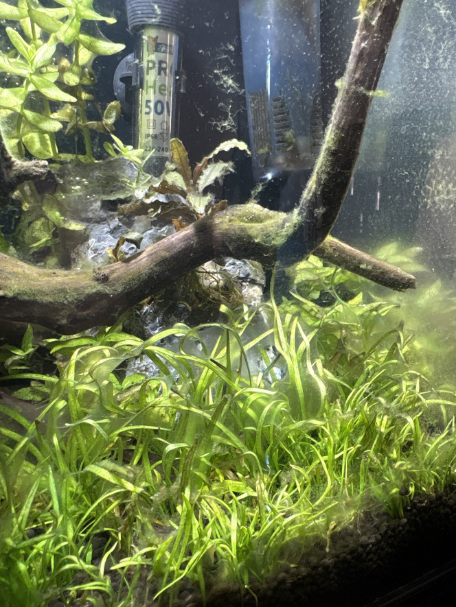 Photographie du post de elie.chrm 