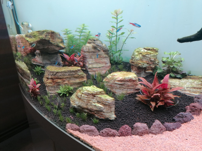 Photographie du post de Barbu62 