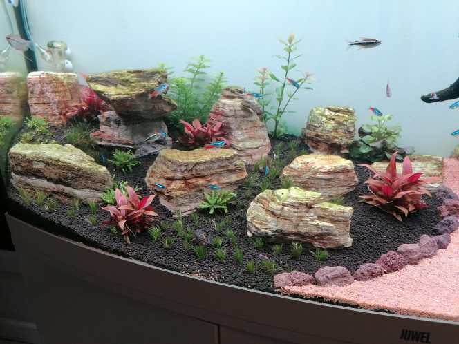 Photographie du post de Barbu62 