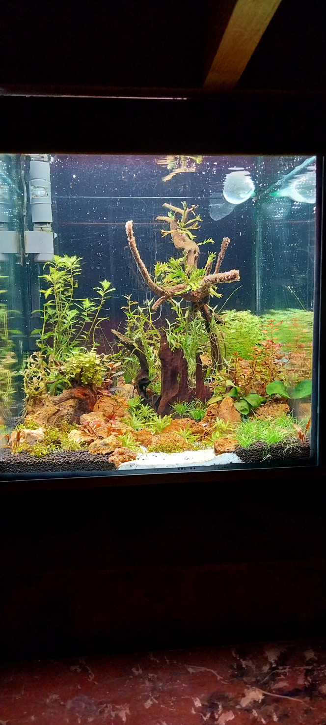 Photographie du post de STK54 