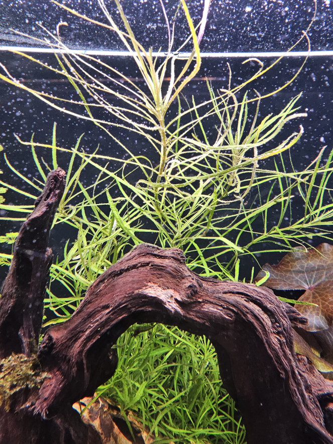 Photographie du post de NoemieMarseille 