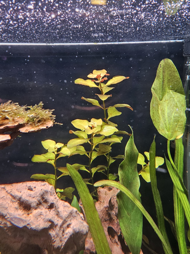 Photographie du post de NoemieMarseille 