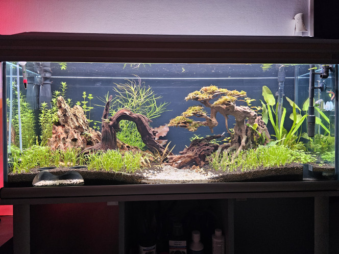 Photographie du post de NoemieMarseille 