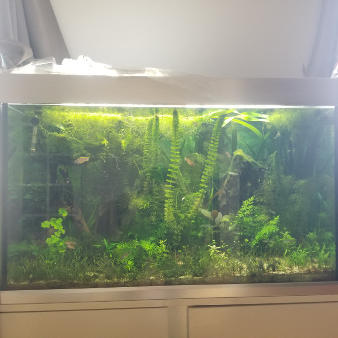 7 mois plus tard La photo ne rend pas justice à la beauté