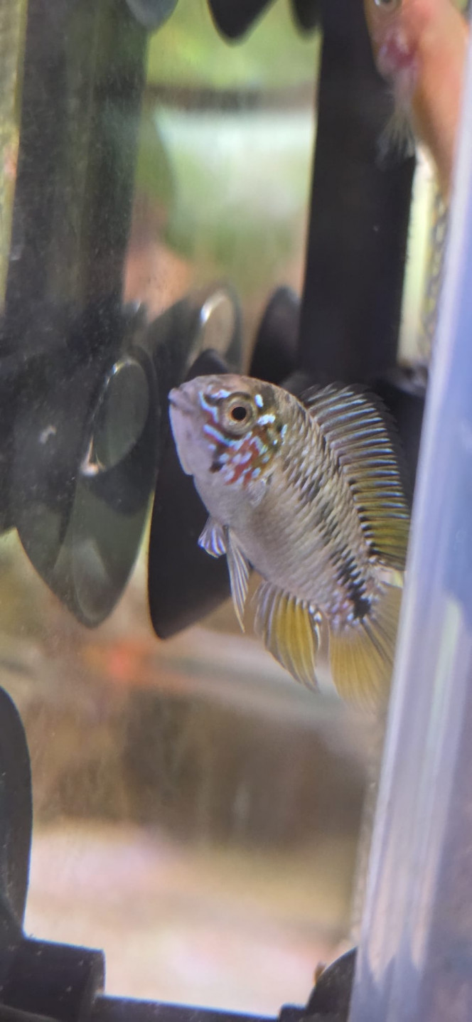 Photographie du post de Stephane06580 