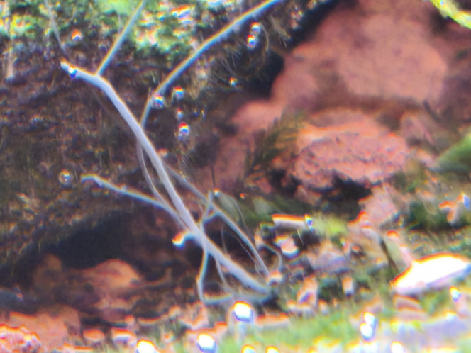 Photographie du post de Loran 