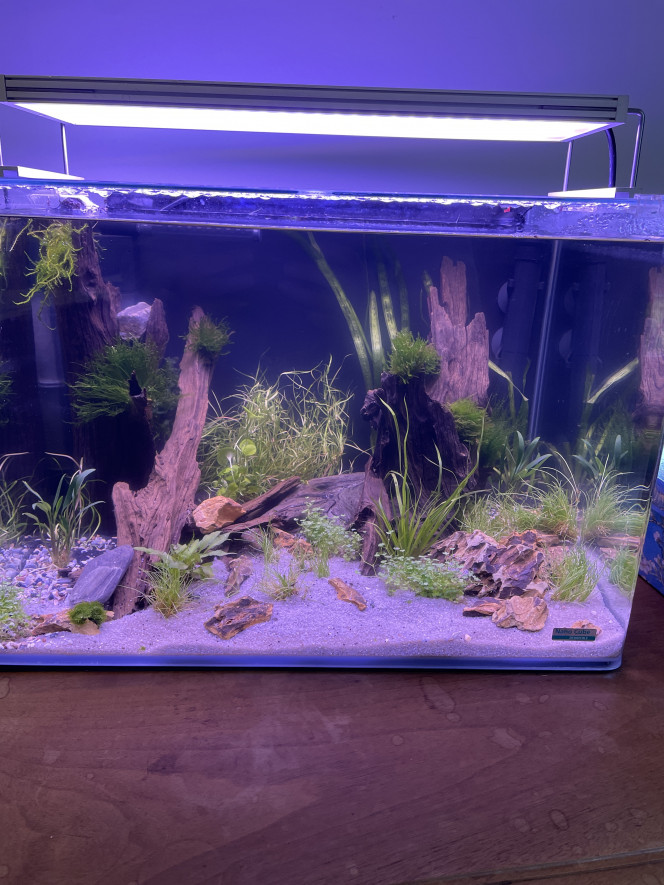 Photographie du post de Sally57 