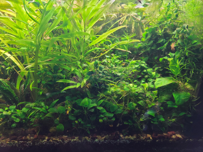 Photographie du post de laurent-galichet 