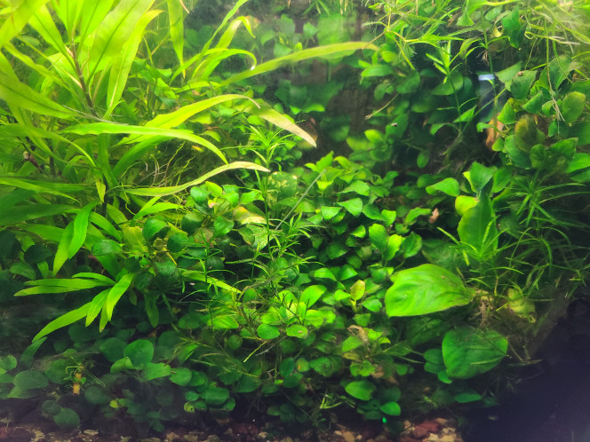 Photographie du post de laurent-galichet 