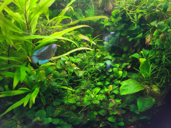 Photographie du post de laurent-galichet 